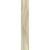 Rex Planches de Rex Amande 15x90x1cm