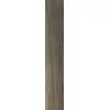 Rex Planches de Rex Choco 20x120x1cm