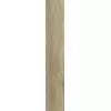 Rex Planches de Rex Miel 20x120x1cm
