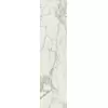 Rex Prexious of Rex Mountain Treasure 30x120x1cm