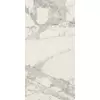 Rex Prexious of Rex Mountain Treasure 30x60x1cm