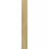 Rex Planches de Rex Noisette 15x120x1cm