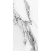 Rex Les Origines de Rex Origines Argent 30x60x1cm