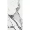 Rex Les Origines de Rex Origines Argent 60x120x0,6cm