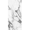 Rex Les Origines de Rex Origines Argent 80x180x1cm