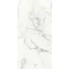 Rex Les Origines de Rex Origines Blanc 30x60x1cm
