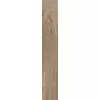 Rex Selection Oak Amber Oak 15x90x1cm