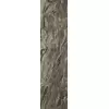 Rex Prexious of Rex Dream Arabesque 30x120x1cm
