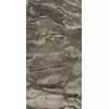 Rex Prexious of Rex Dream Arabesque 30x60x1cm