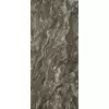 Rex Prexious of Rex Dream Arabesque 80x180x1cm