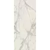 Rex Prexious of Rex Mountain Treasure 80x180x1cm