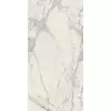 Rex Prexious of Rex Mountain Treasure 120x240x0,6cm