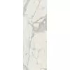 Rex Prexious of Rex Mountain Treasure 160x320x0,6cm