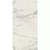 Rex Prexious of Rex Mountain Treasure 60x120x0,6cm