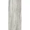 Rex Prexious of Rex Pearl Attraction 80x180x1cm