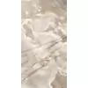 Rex Reves de Rex Reve Noisette 30x60x1cm