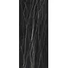 Rex Prexious of Rex Thunder Night 120x280x0,6cm