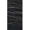 Rex Prexious of Rex Thunder Night 30x60x1cm