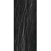 Rex Prexious of Rex Thunder Night 60x120x1cm