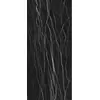 Rex Prexious of Rex Thunder Night 80x180x1cm