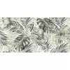 Mirage Papier Palm 60x120 Płytka Gresowa Polerowana