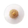 Maxlight w0356 kinkiet allure 1l clear glass