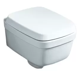 Simas Evolution 52x37cm