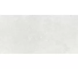 Baldocer Arkety Silver 30x60 płytka ścienna