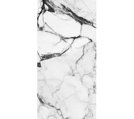 Rex Les Bijoux de Rex Calacatta Altissimo Blanc 40x80x1cm