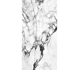 Rex Les Bijoux de Rex Calacatta Altissimo Blanc 60x120x1cm