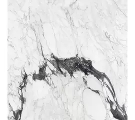 Rex Les Bijoux de Rex Calacatta Altissimo Blanc 80x80x1cm