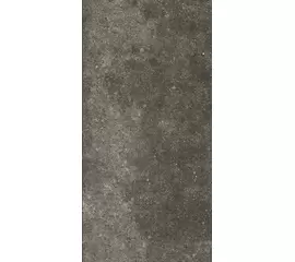Rex La Roche di Rex la Roche Mud 60x120x1cm