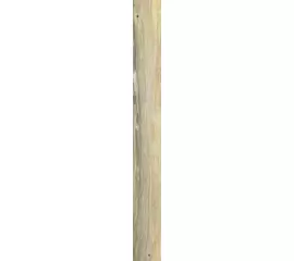 Rex Planches de Rex Miel 20x180x1cm