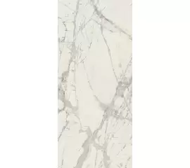 Rex Prexious of Rex Mountain Treasure 80x180x1cm