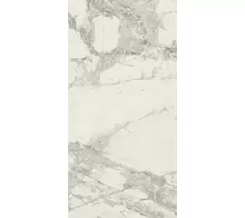 Rex Prexious of Rex Mountain Treasure 30x60x1cm