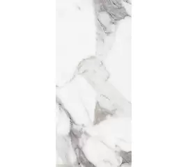 Rex Les Origines de Rex Origines Argent 120x240x0,6cm