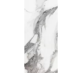 Rex Les Origines de Rex Origines Argent 120x280x0,6cm