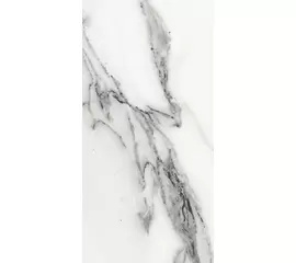 Rex Les Origines de Rex Origines Argent 30x60x1cm