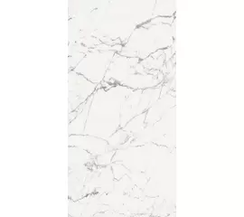 Rex Les Origines de Rex Origines Blanc 120x240x0,6cm