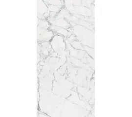 Rex Les Origines de Rex Origines Blanc 160x320x0,6cm