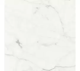 Rex Les Origines de Rex Origines Blanc 60x60x1cm