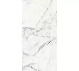 Rex Les Origines de Rex Origines Blanc 80x180x1cm