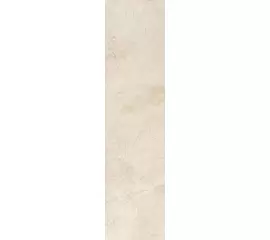 Rex Ardoise Ivoire 20x80x1cm