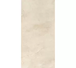 Rex Ardoise Ivoire 40x80x1cm