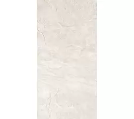 Rex Ardoise Blanc 30,4x60,8x1cm