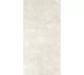Rex Ardoise Blanc Grip 40x80x1cm