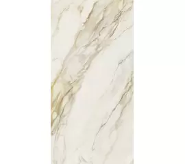 Rex Etoile de Rex Etoile Creme 60x120x1 Płytka gresowa matowa