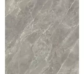 Rex Etoile de Rex Etoile Gris 80x80x1 Płytka gresowa polerowana