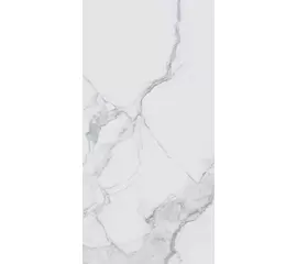 Rex I Classici di Rex Statuario 30x60x1cm