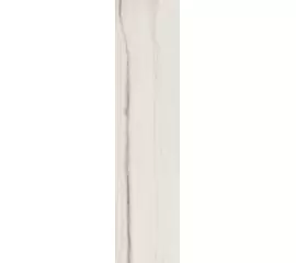 Rex Prexious of Rex White Fantasy 30x120x1cm